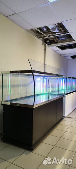 Аквариум 500 торговли живыми раками оборудование