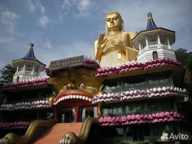 Шри-Ланка из Москвы