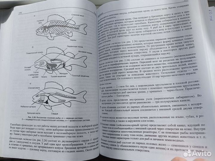 Справочник по биологии. ЕГЭ. Соловков