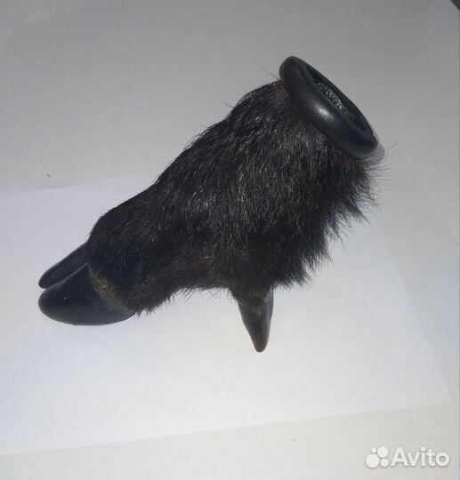 Чучело копыто