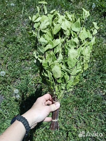 Веники для бани, травы, запарки