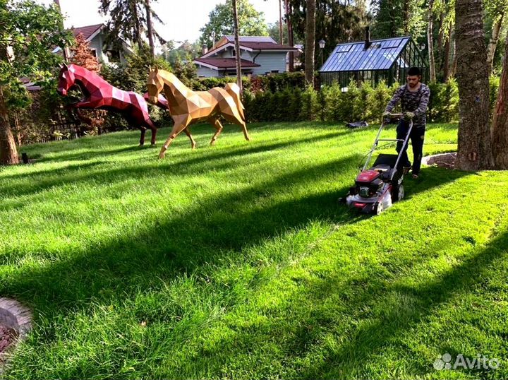 Рулонный газон