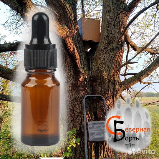 Приманка для пчел и роев 