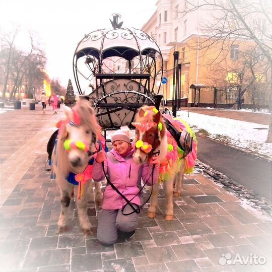 Кони и Пони на ваш праздник.Детские праздники,свад