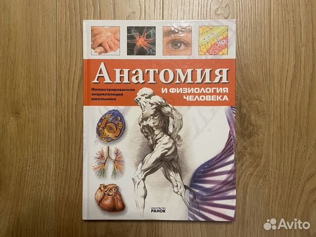 Энциклопедия Анатомия человека купить в Москве | Хобби и отдых | Авито