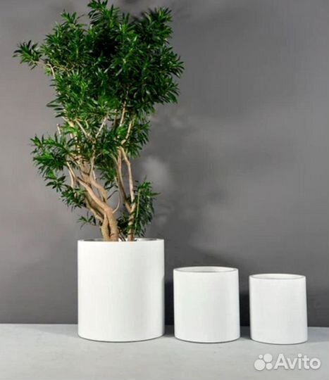 Кашпо из бетона