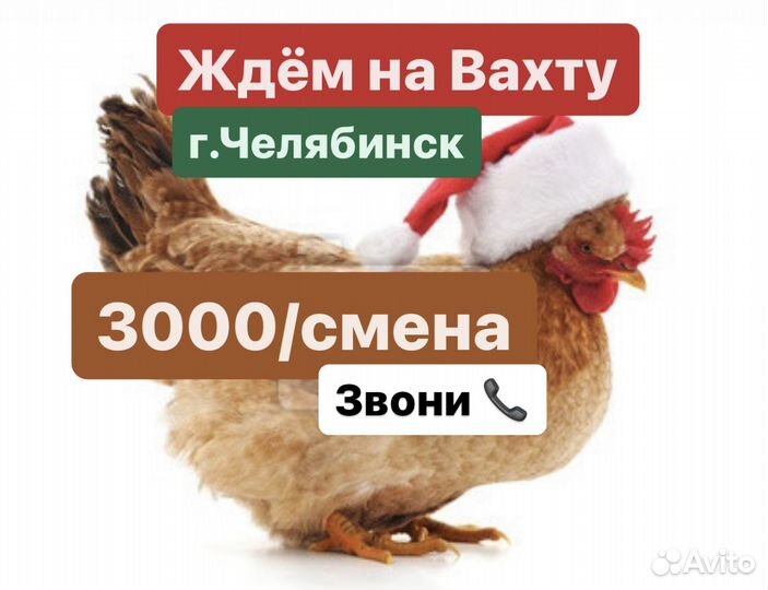 Вахта мойщик/грузчик Челябинск