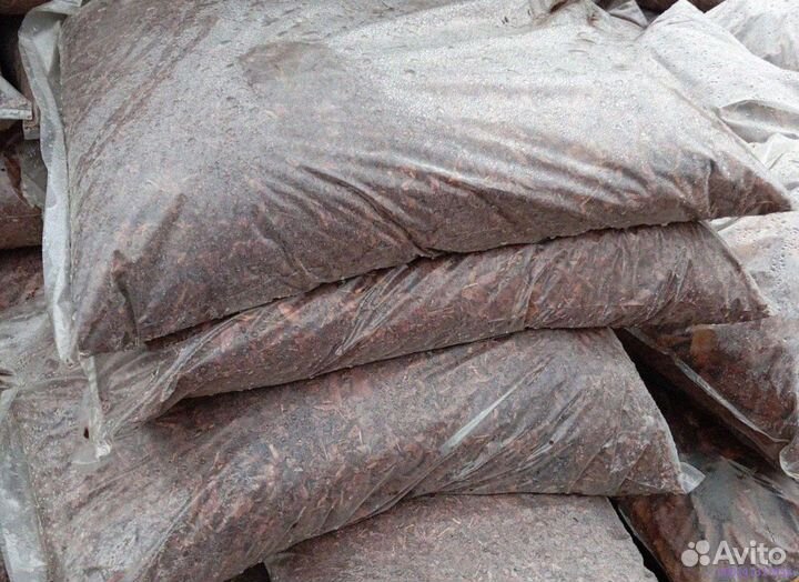 Природа лиственницы: сила коры