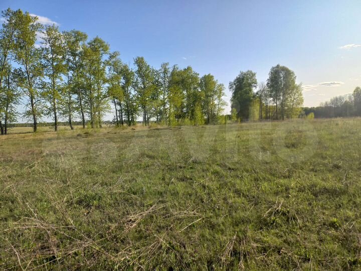 Участок 83 сот. (ИЖС)