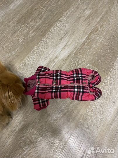 Зимний костюмчик для девочки