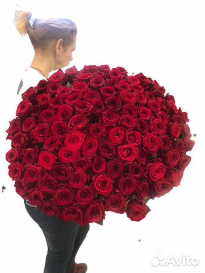 Розы цветы доставка 25 51 101 роза доставка