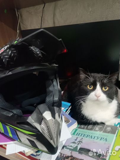 Кроссовый шлем Airoh