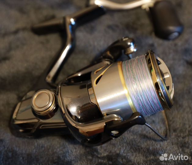 14 Stella 2500s и Vanquish 16 2500s