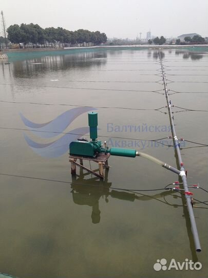 Разведение рыбы. Аквакультура