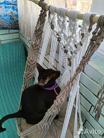 Гамак для кошек