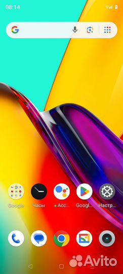 Поросята ландрас и русская белая