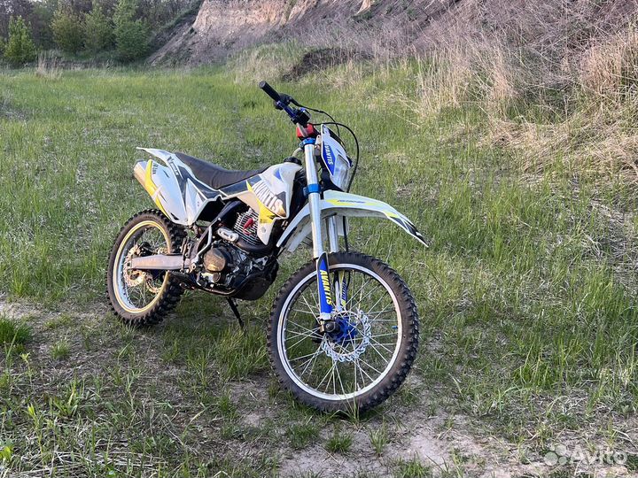 Avantis FX 250 Lux