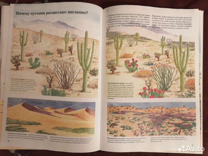 Познавательная энциклопедия 