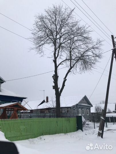 Спил деревьев