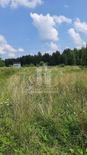 Участок 12 сот. (ИЖС)