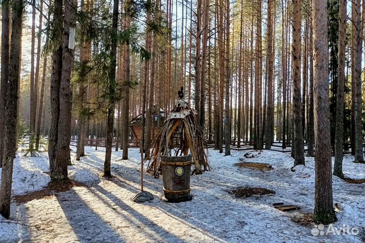 Новогоднее путешествие из Москвы в Великий Устюг