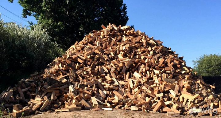 Дрова Береза