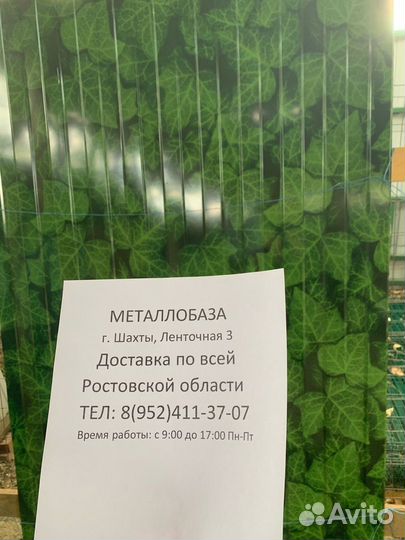 Профлист с принтом