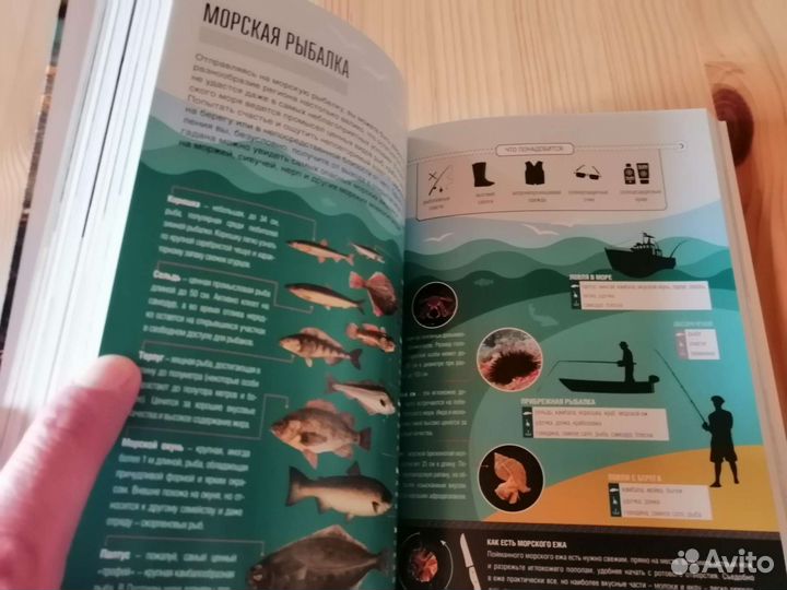 Путеводитель 