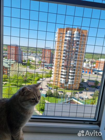 Решетка антикошка на окно