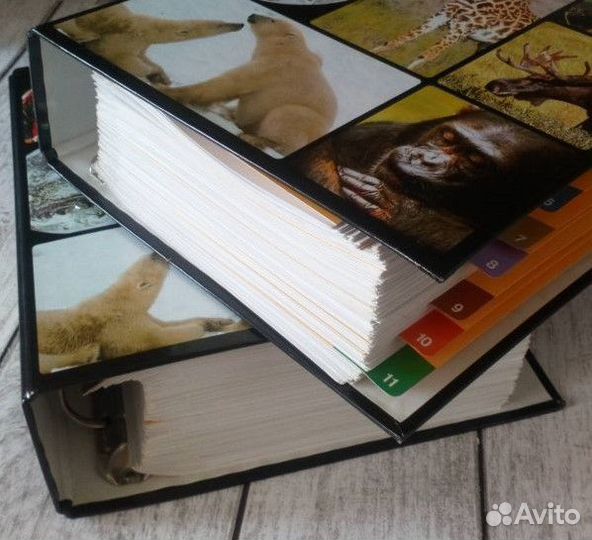 В мире дикой природы (энциклопедия) 2 папки