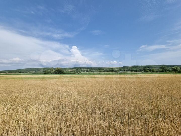 Участок 2,8 га (СНТ, ДНП)