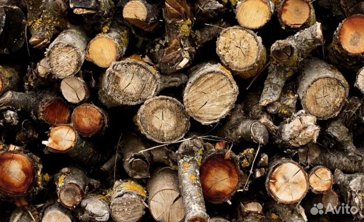 Дрова в ло