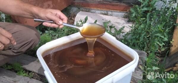 Мед оптом. Эспарцетовый мед