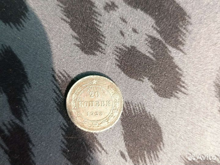20 копеек 1923 года
