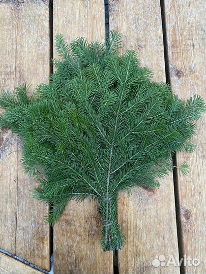 Пихтовые веники