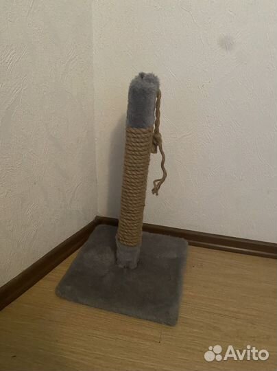 Когтеточка