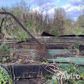 Купить лошадь в Великом Новгороде: жеребцы, кобылы и жеребята - объявления