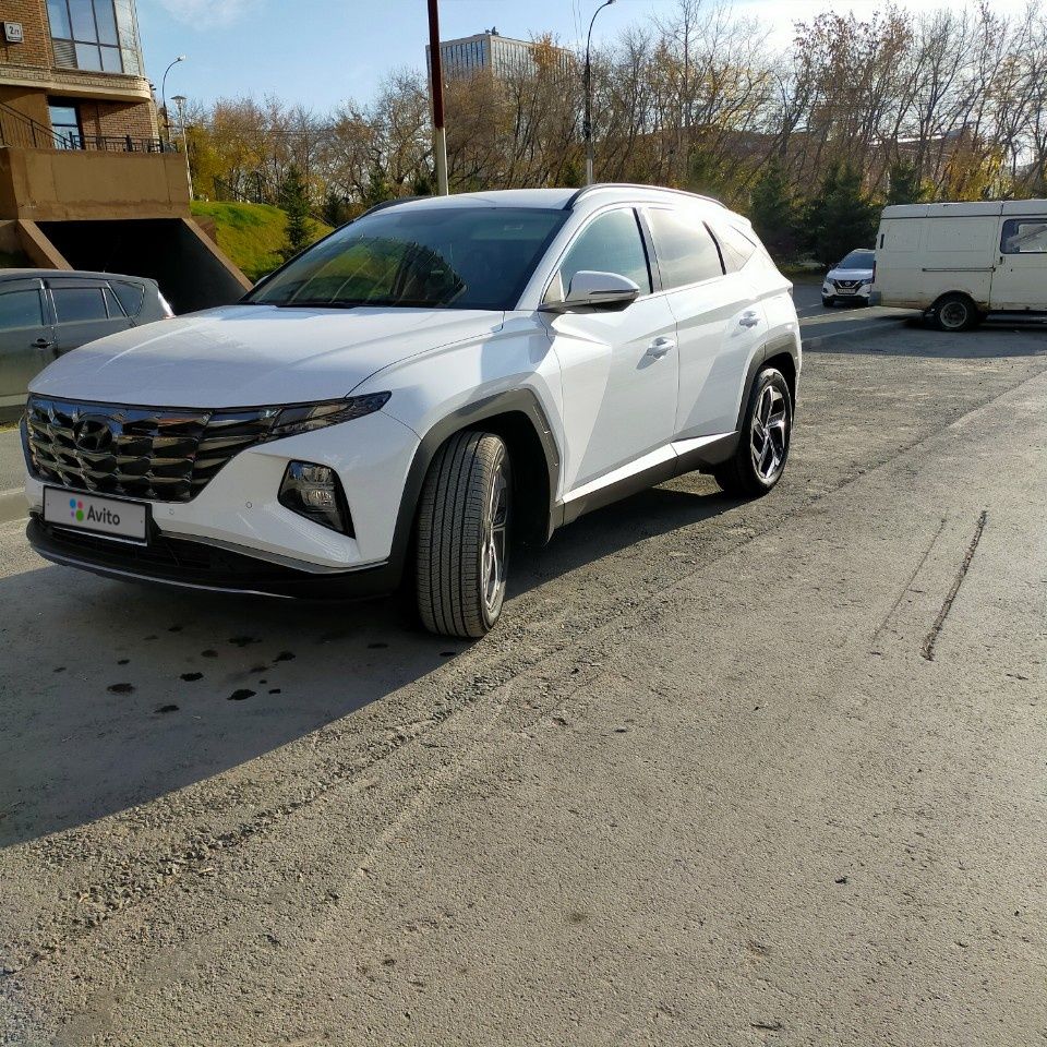 Hyundai Palisade: фото владельца