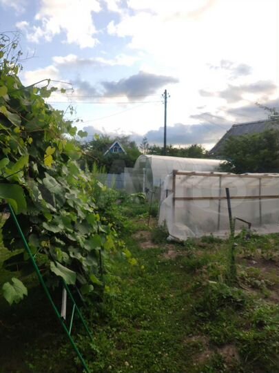 Дача 10 м² на участке 8,3 сот.