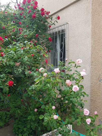 Дом 45 м² на участке 7 сот.