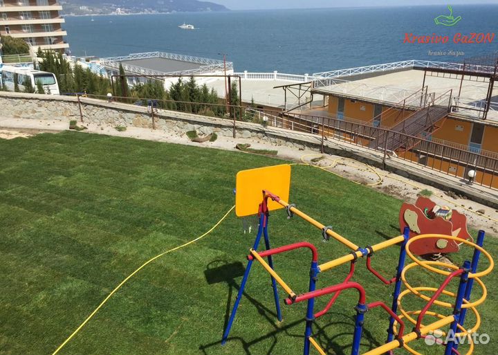 Рулонный газон Новороссийск