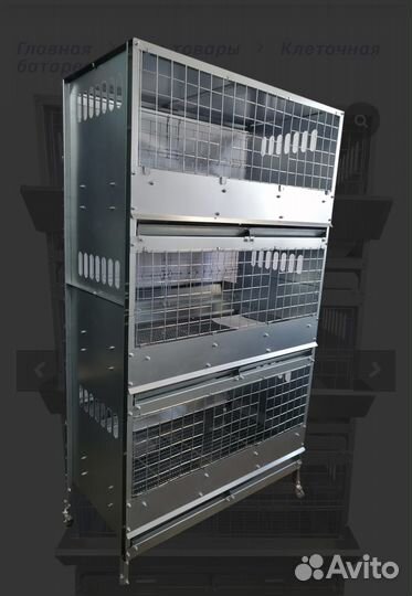 Клеточная батарея для Кур-Бройлеров