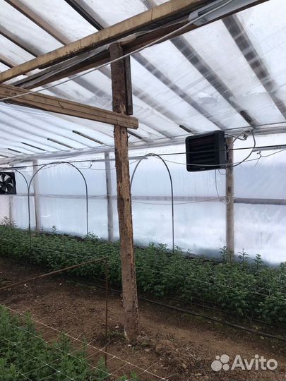 Тепловентилятор водяной для теплицы