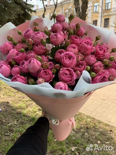 Пионовидная кустовая роза мисти баблз