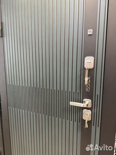 Дверь входная Иссида