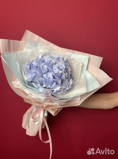 Букет «Моно из гортензии»