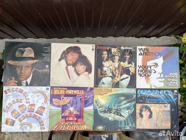 Виниловые пластинки