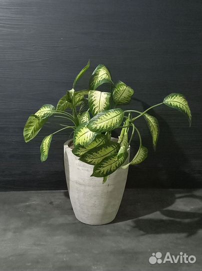 Горшки, Вазоны, Кашпо под заказ из бетона