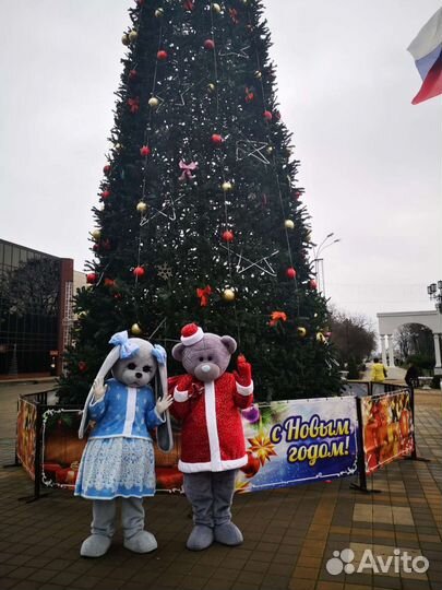 Мишки Тедди