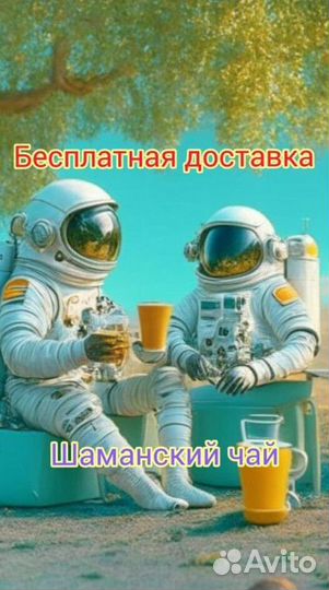 Чай пуэр « Космос шаманов » шмн12074